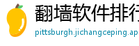 翻墙软件排行